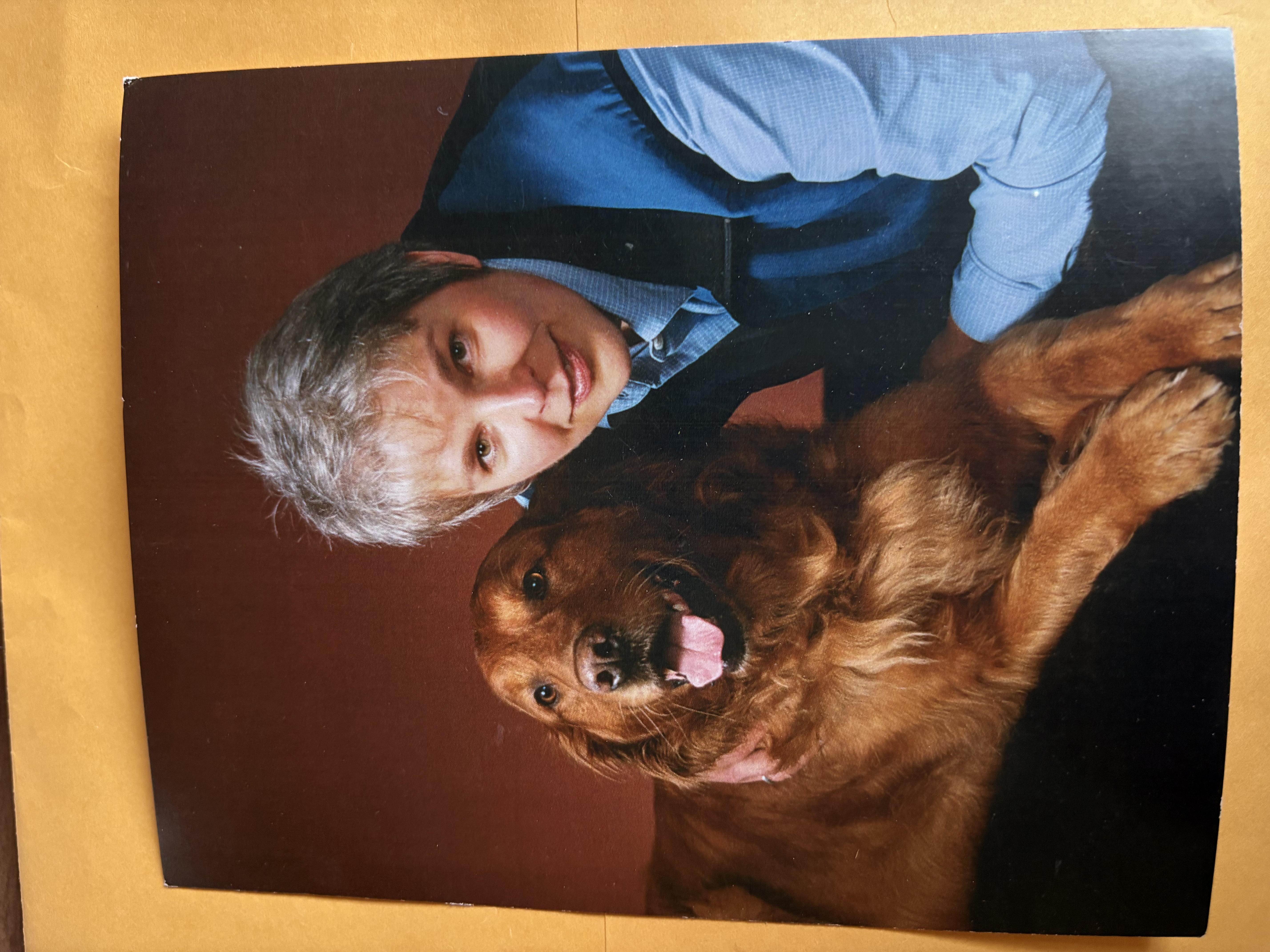 Sharon Tokar's profile picture