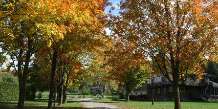 ERC Driveway in fall